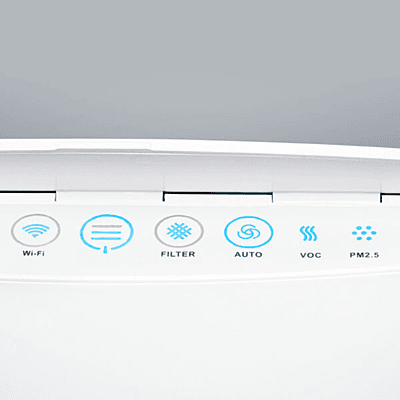 Ionic air purifier