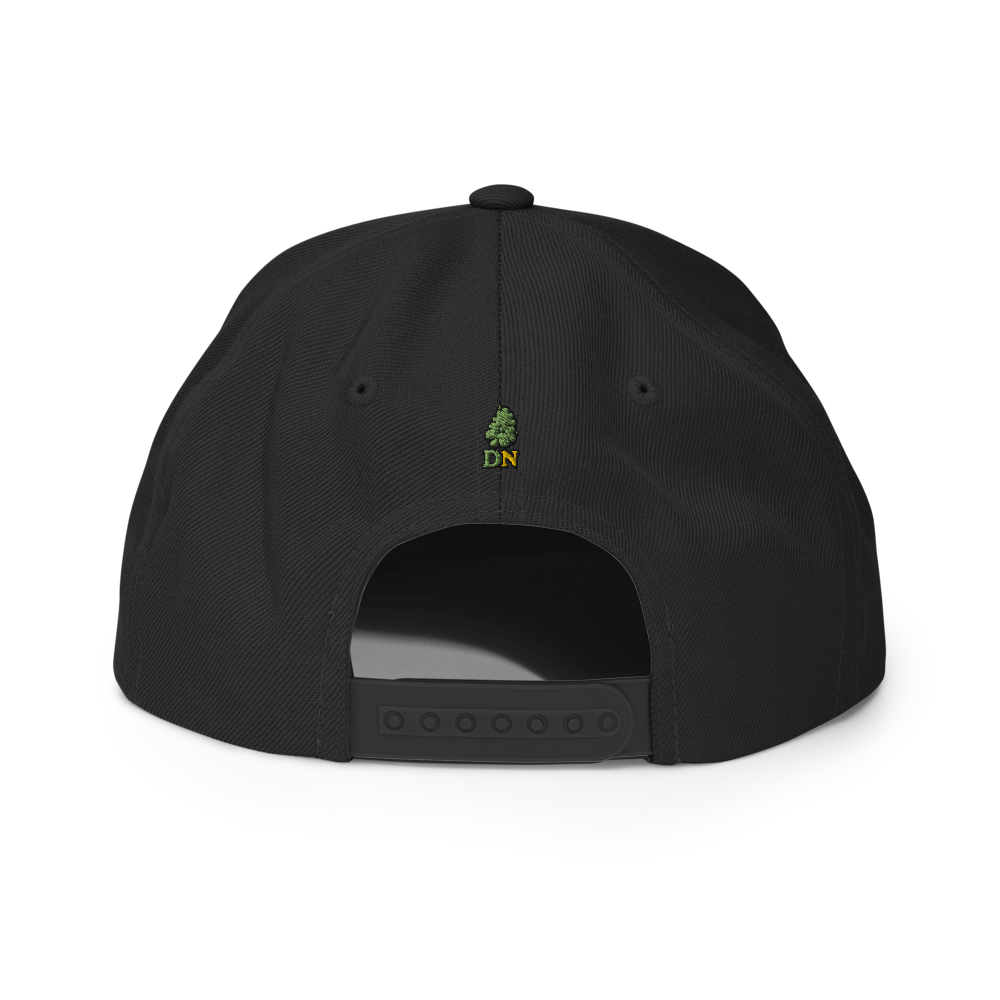 Gorra snapback Dr. Nugget