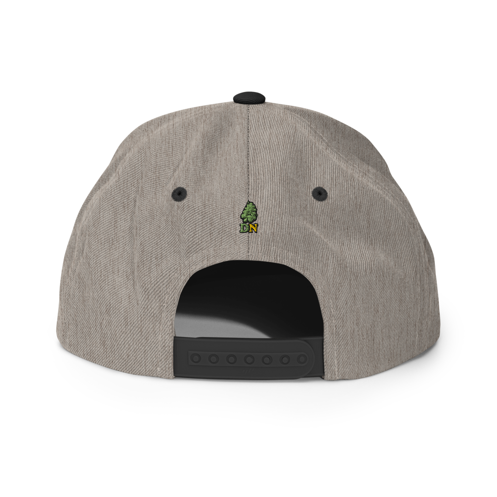Gorra snapback Dr. Nugget