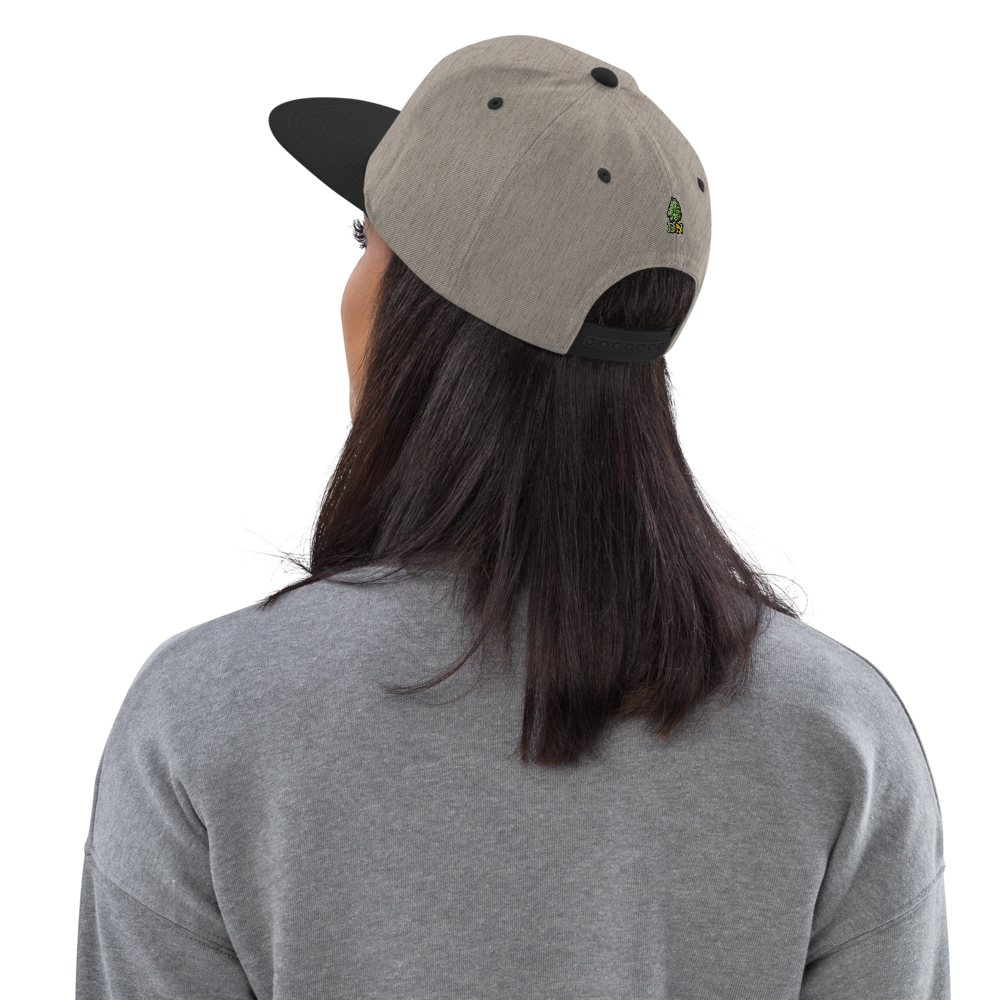 Gorra snapback Dr. Nugget