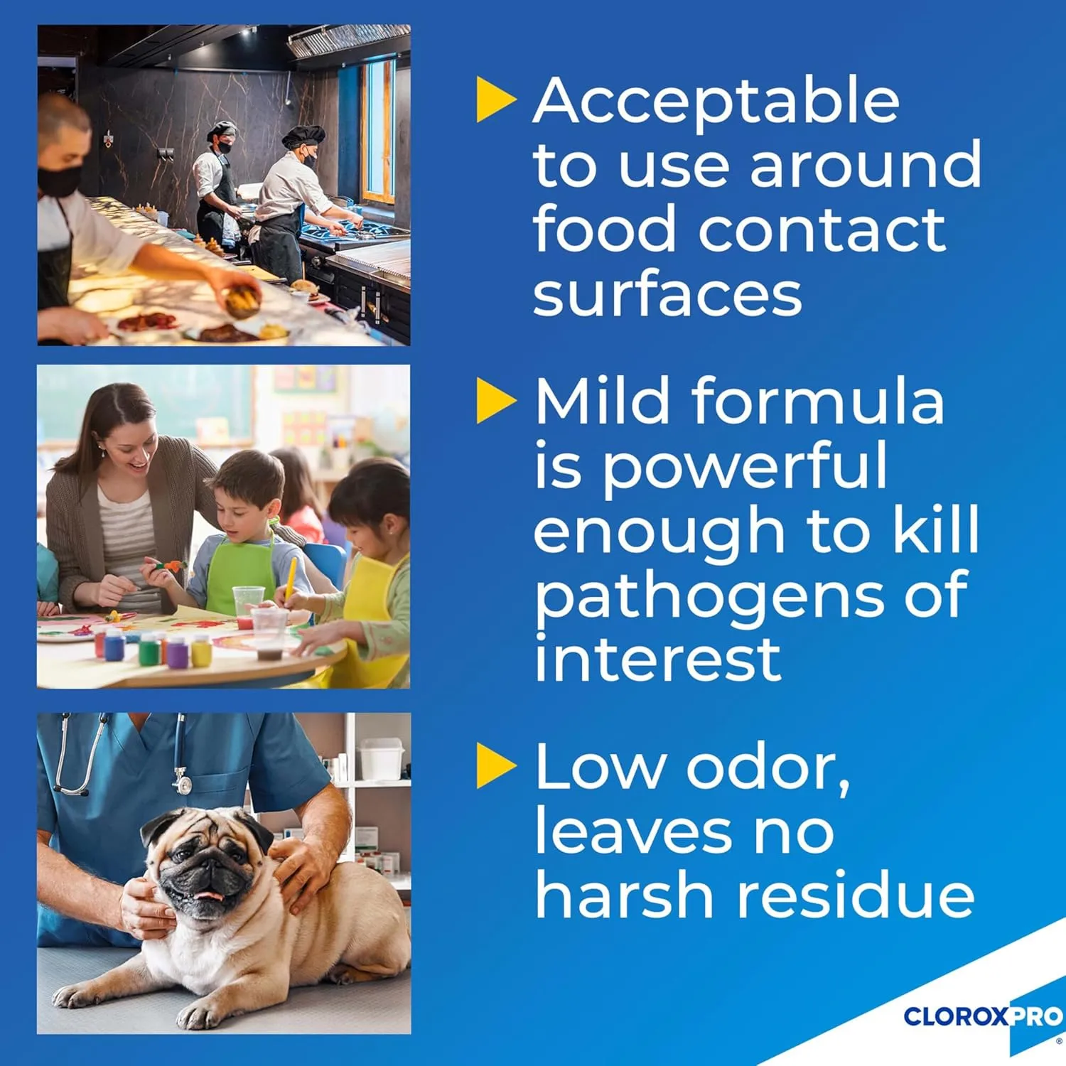 CloroxPro Anywhere Daily Disinfectant and Sanitizer, No-Rinse Food Contact Sanitizer, 32 Fluid Ounces