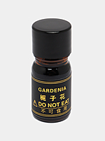 Car Perfume Diffuser