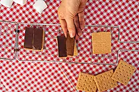 Coghlan's Camper's S'Mores Grill – Chrome-Plated Steel Portable 3-S'mores Grill with 17-Inch Handle