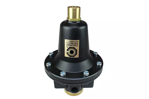 Coilhose Pneumatics 8802K Heavy Duty Series Regulator, 1/4-Inch Pipe Size, Tamperproof