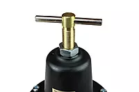 Coilhose Pneumatics 8804GH Heavy Duty Series Regulator, 1/2-Inch Pipe Size with Gauge and High Pressure Spring (0-200 PSI)