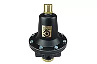 Coilhose Pneumatics 8804K Heavy Duty Series Regulator, 1/2-Inch Pipe Size, Tamperproof