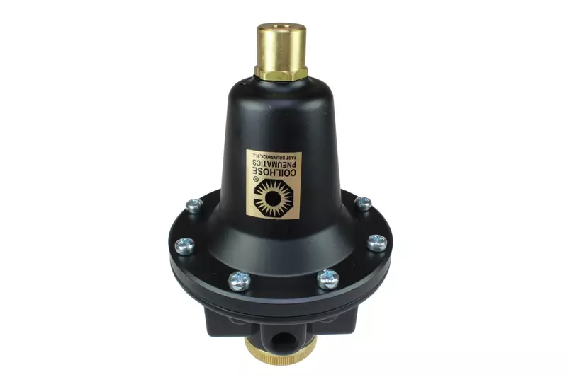 Coilhose Pneumatics 8804K Heavy Duty Series Regulator, 1/2-Inch Pipe Size, Tamperproof