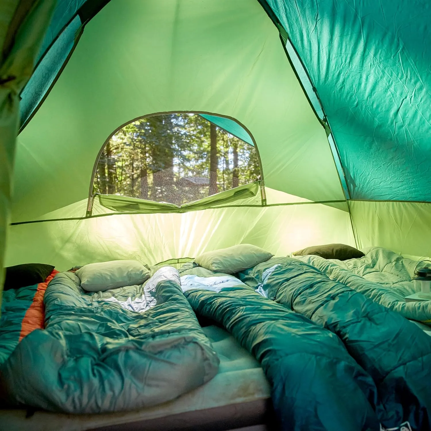COLEMAN Sundome Camping Tent with Rainfly and WeatherTec