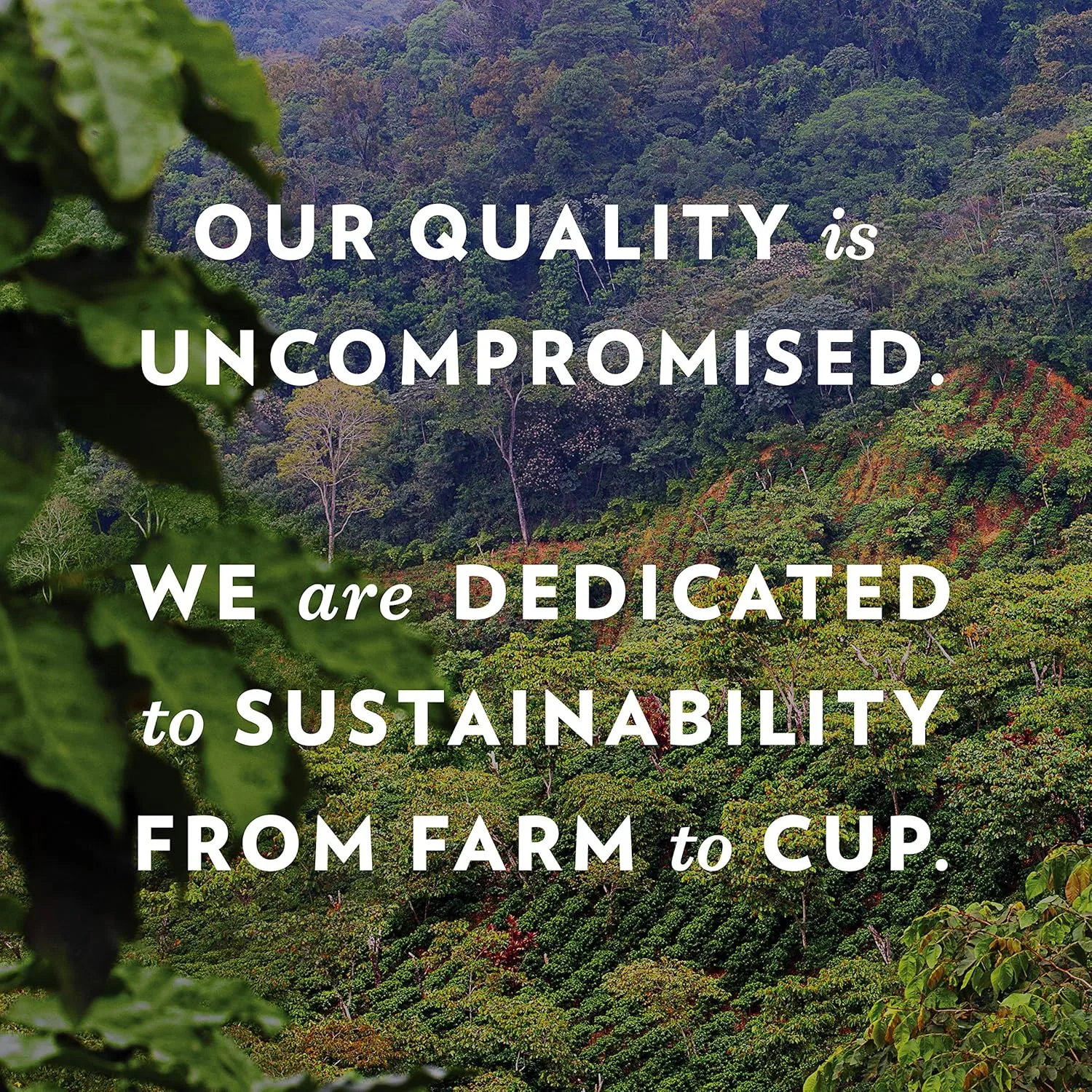 Community Coffee Pre-Measured Ground Coffee Packs