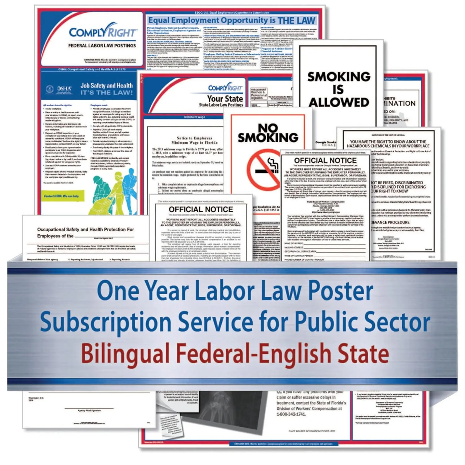 ComplyRight Federal (Bilingual), State and Public Sector (English) Labor Law 1-Year Poster Service, Georgia (U1200CBOPSECGA)