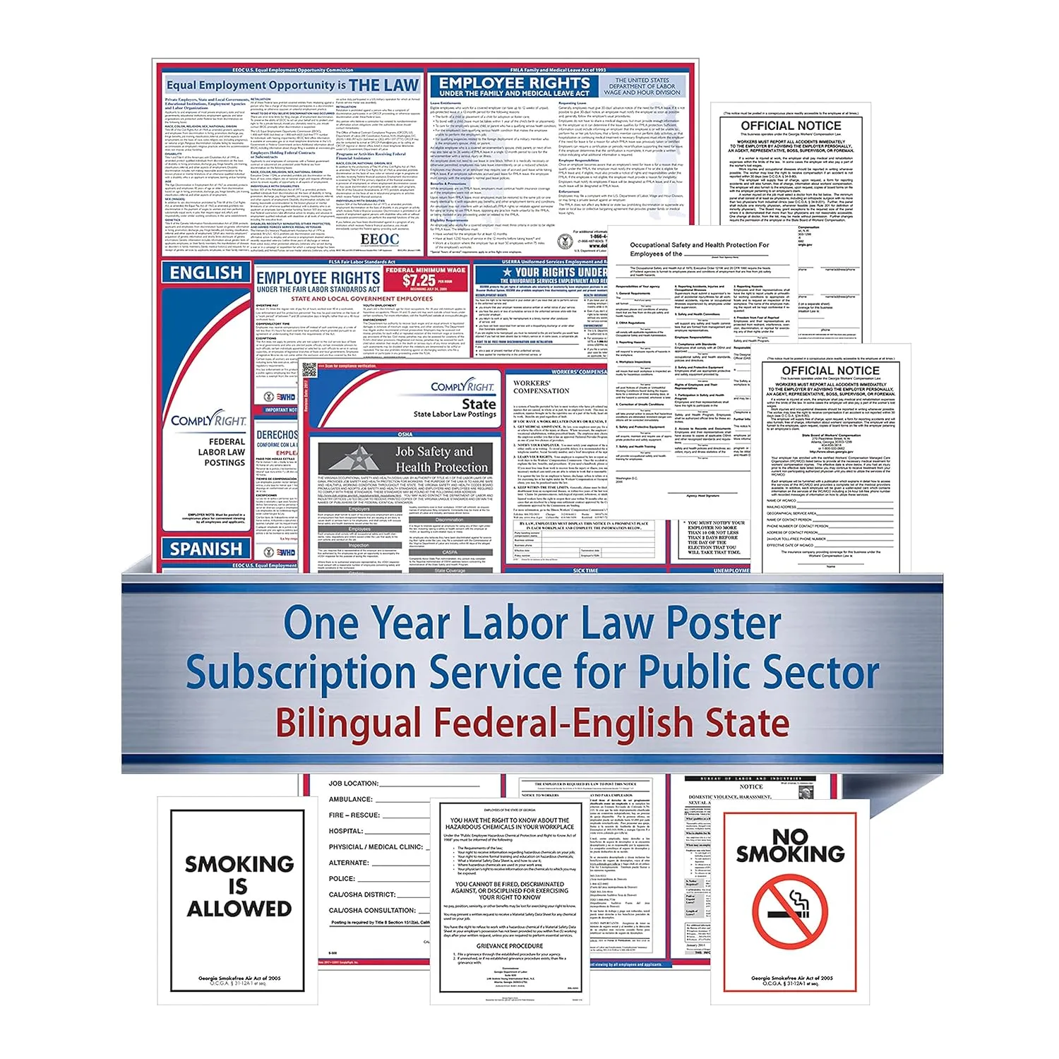 ComplyRight Federal (Bilingual), State and Public Sector (English) Labor Law 1-Year Poster - Puerto Rico (U1200CBOPSECPR)