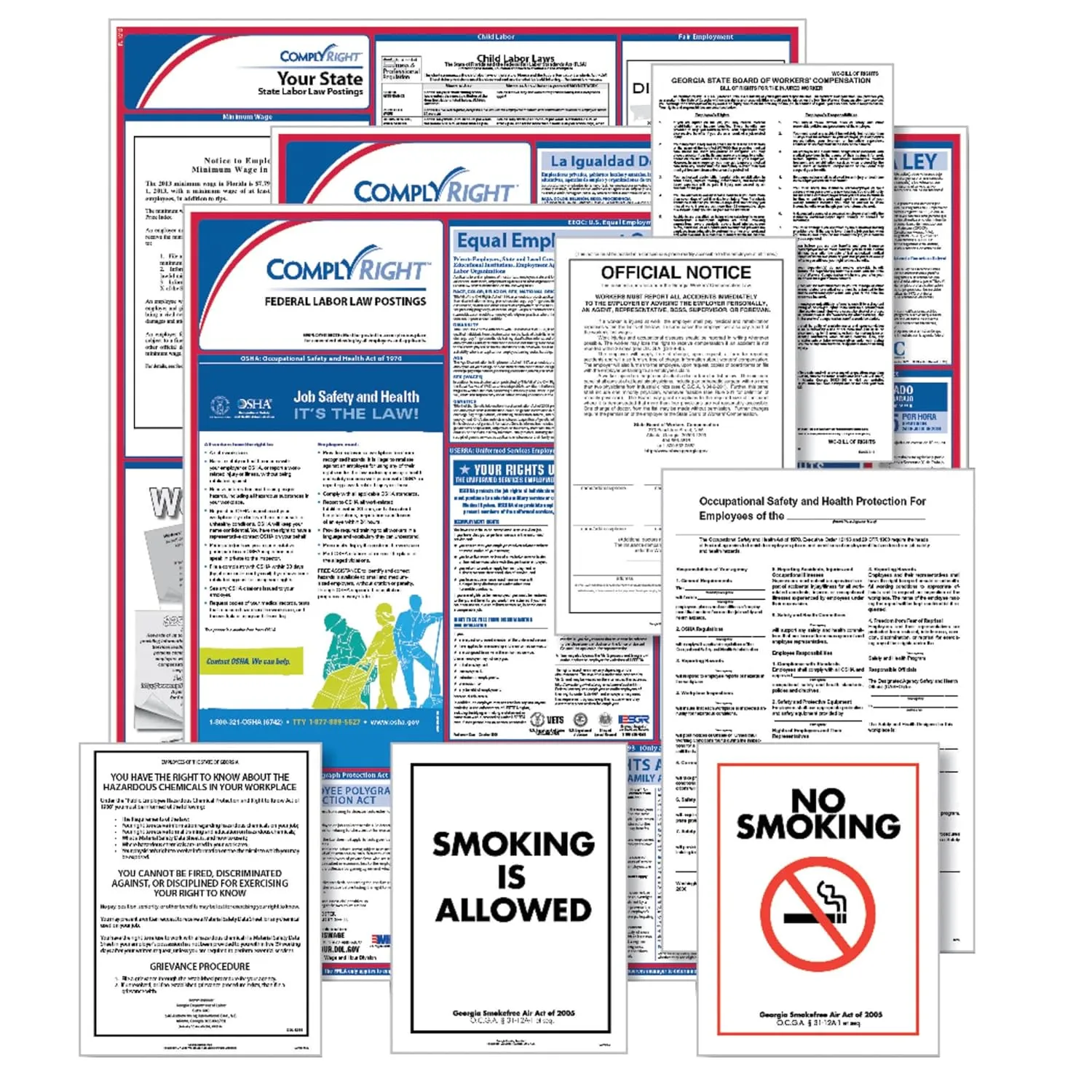 ComplyRight Federal (Bilingual), State & Public Sector (English) Poster Set - New York (EFEDSTCRPSECBNY)