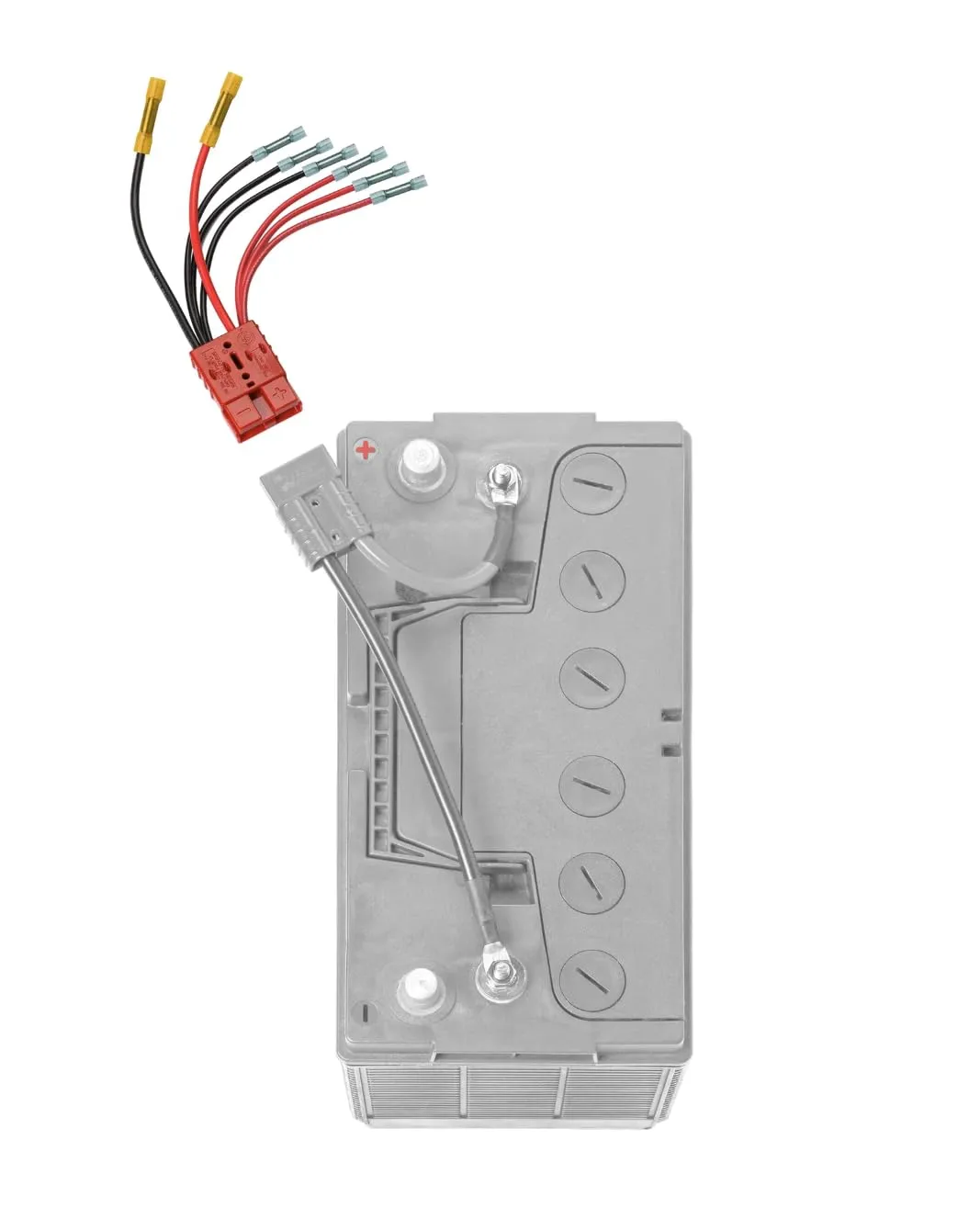 12V Multi-4 Connector Kit - RCE12VB4