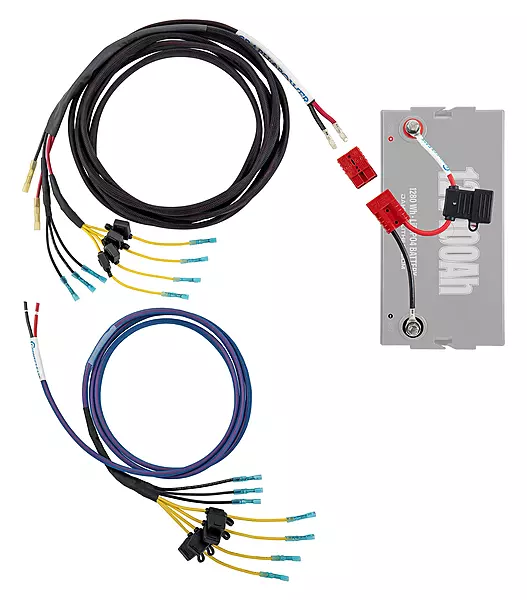 Graph Power Pro Marine Wiring Harness Kit RCE12VGRPRO1922 | 8-Gauge Marine-Grade Wire with Fused 12V Connections | Wiring