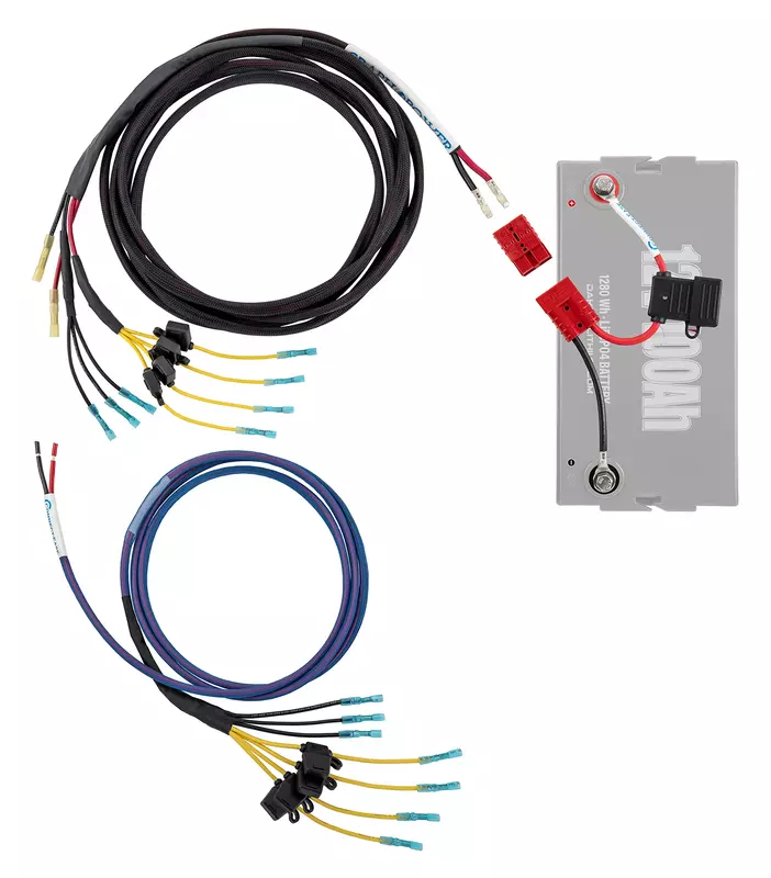 Graph Power Pro Marine Wiring Harness Kit RCE12VGRPRO1922 | 8-Gauge Marine-Grade Wire with Fused 12V Connections | Wiring