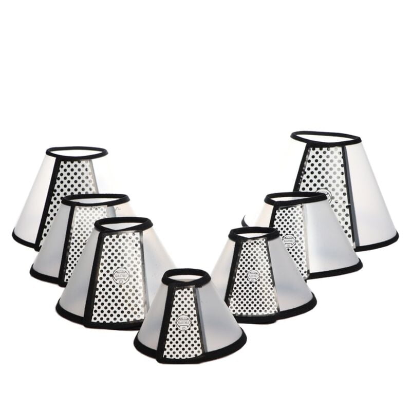 Kit 7 Piezas De Cono Isabelino Para Mascotas Kit 7 Piezas De Cono Isabelino Para Mascotas