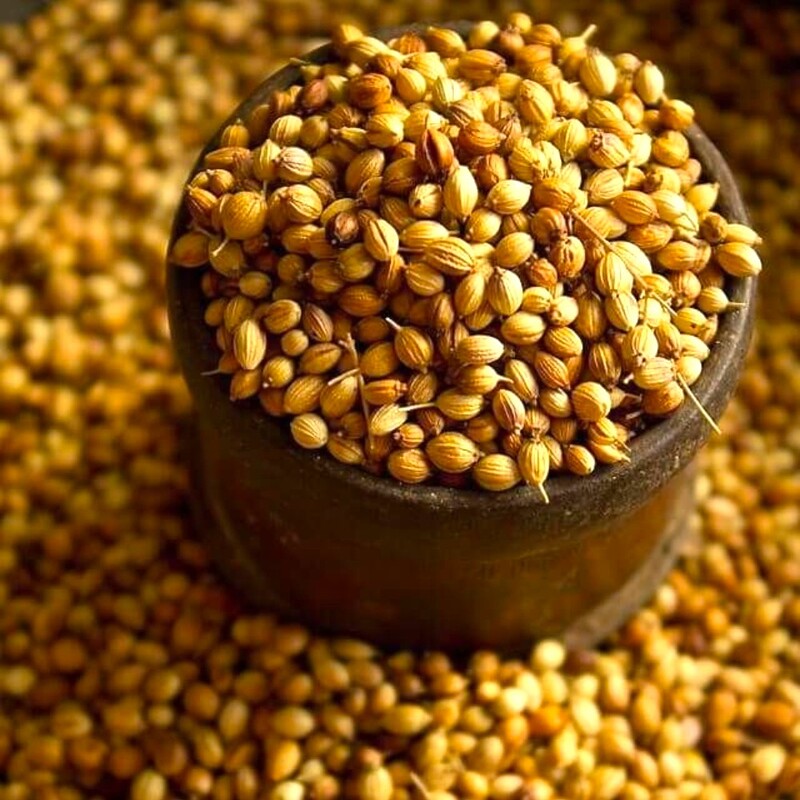 Coriander Seeds / Dhaniya