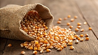 Whole Corn.
