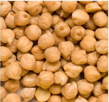 PUL41059 : Royal Protein Chickpeas 9 mm 55 LB