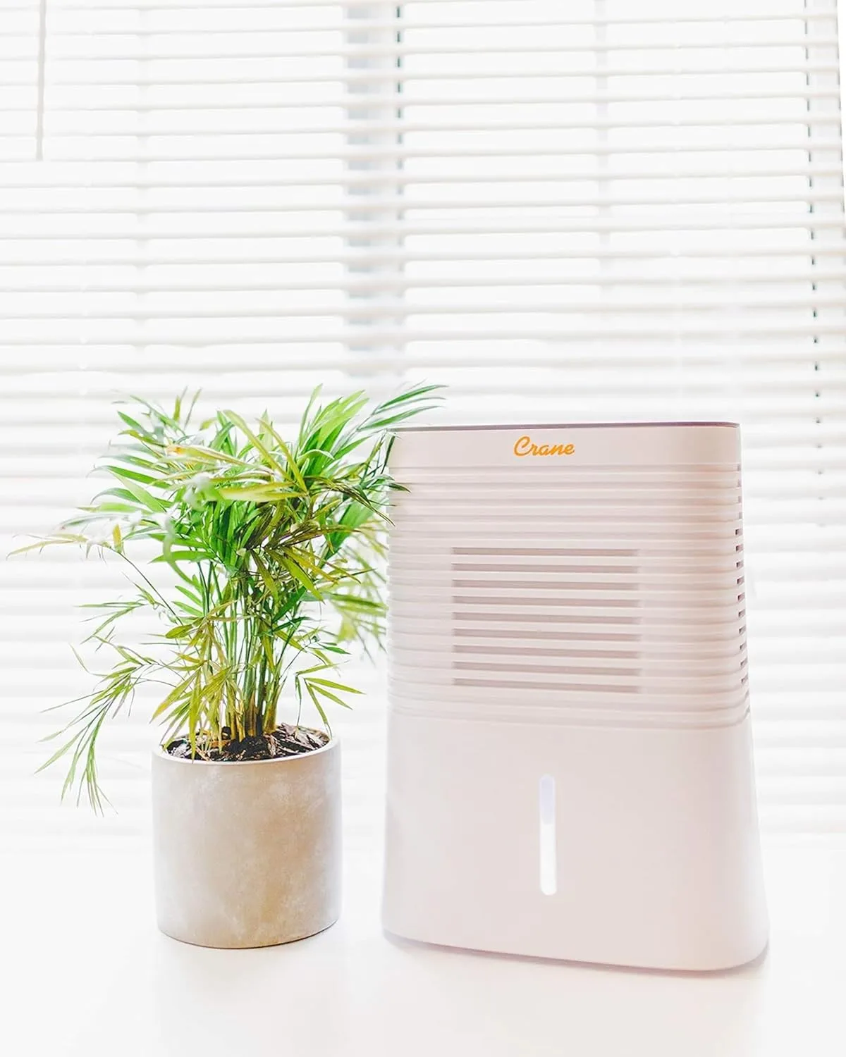 Crane Compact Dehumidifier for 300 Sq Ft Rooms, 0.5 Gallon Tank, Timer, Auto Shut-Off, Whisper Quiet, White