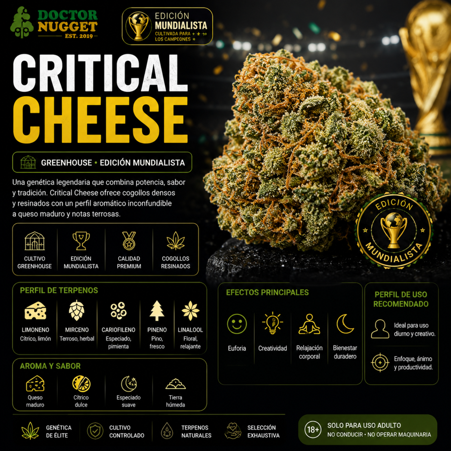 Dr. Nugget Critical Cheese THC Flor