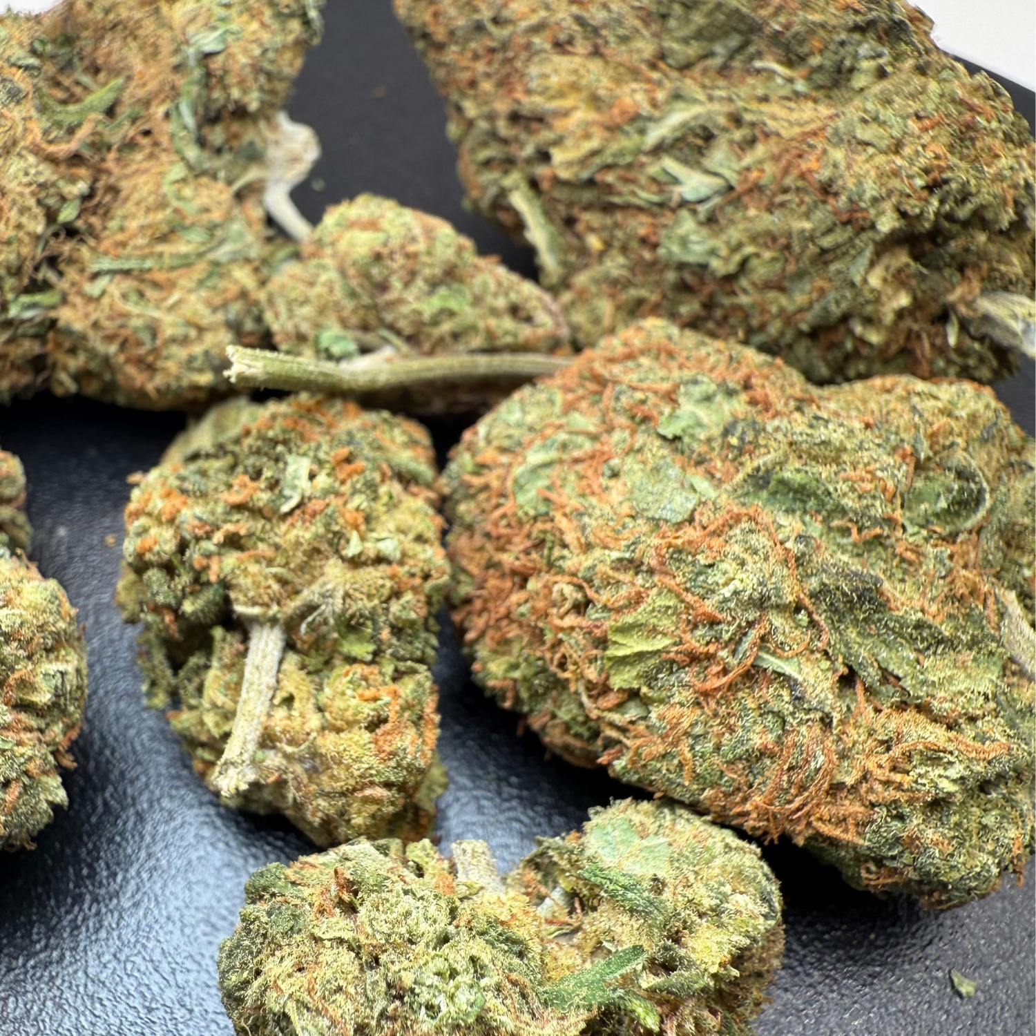 Critical Cheese Greenhouse Edición Mundialista