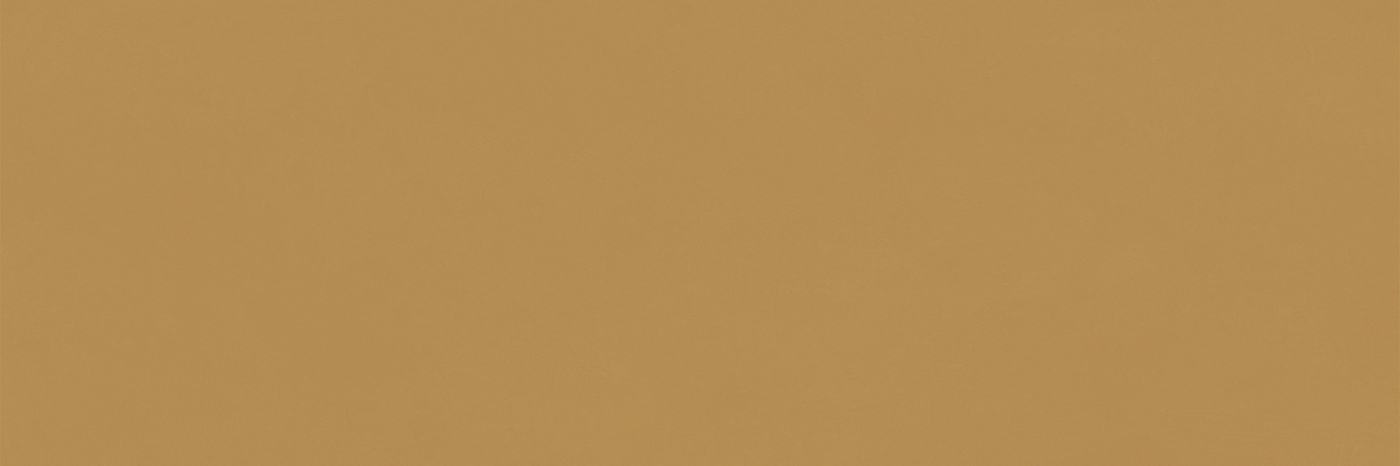 Faianta TAU, CHROMATIC HONEY 33.3X100