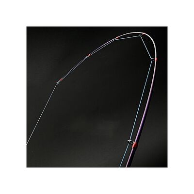 CRONY MORE CATCH SERIES SPINING ROD 2.13M