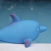 Thermometer Dolphin Character | T381D | PRO POOL PRO