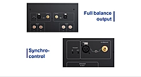Tonewinner AD-1PA+ High Power Stereo Amplifier