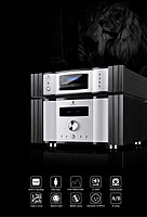 Tonewinner AD-3PRO+ High Power Integrated Amplifier
