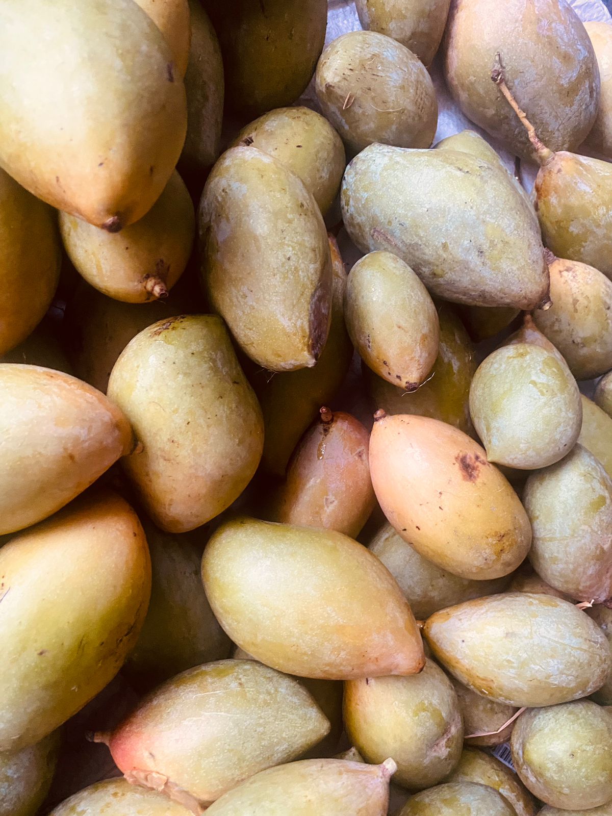 Mango - Kilimooku 5kg