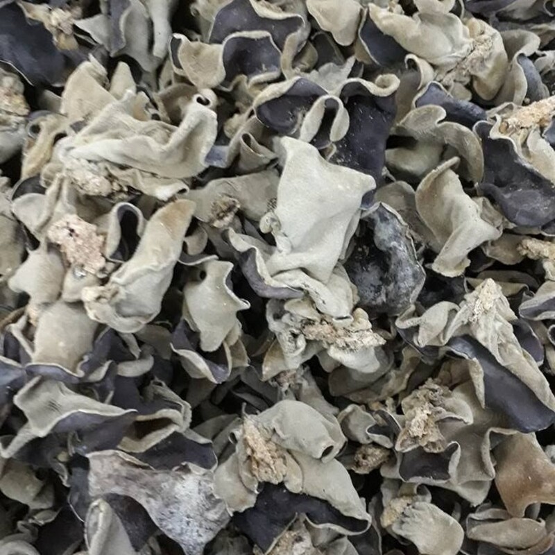 Dagad Phool / Black Stone Flower