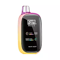 FLUM MELLO
