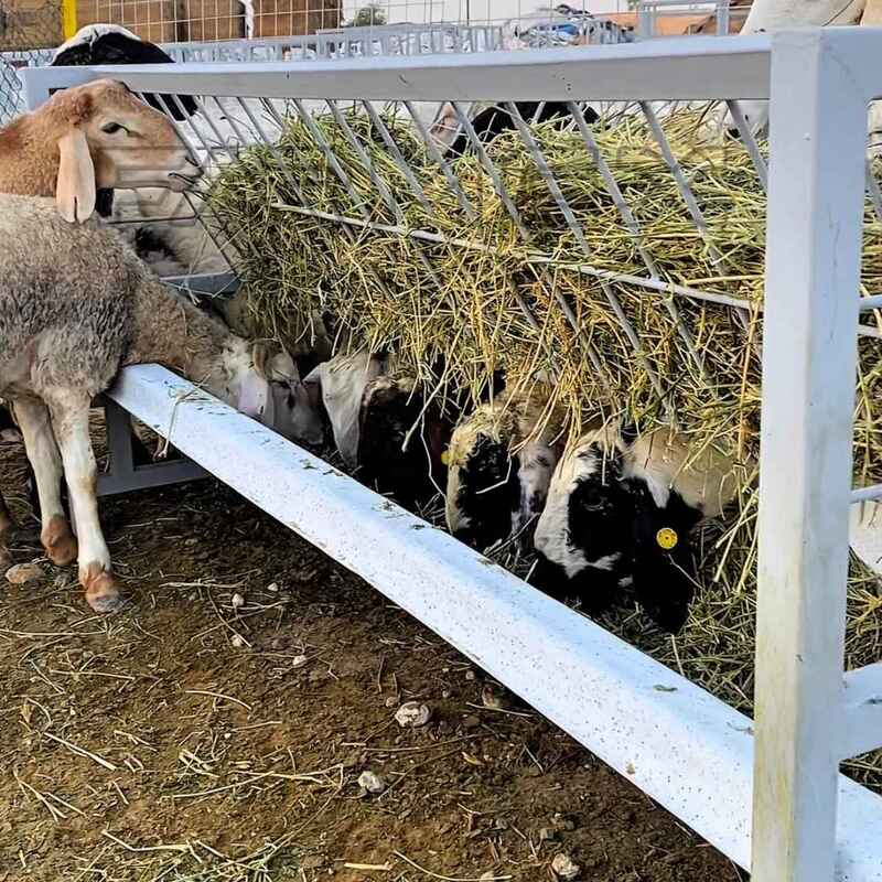 Farmex Trough 200 Liter - Danish V