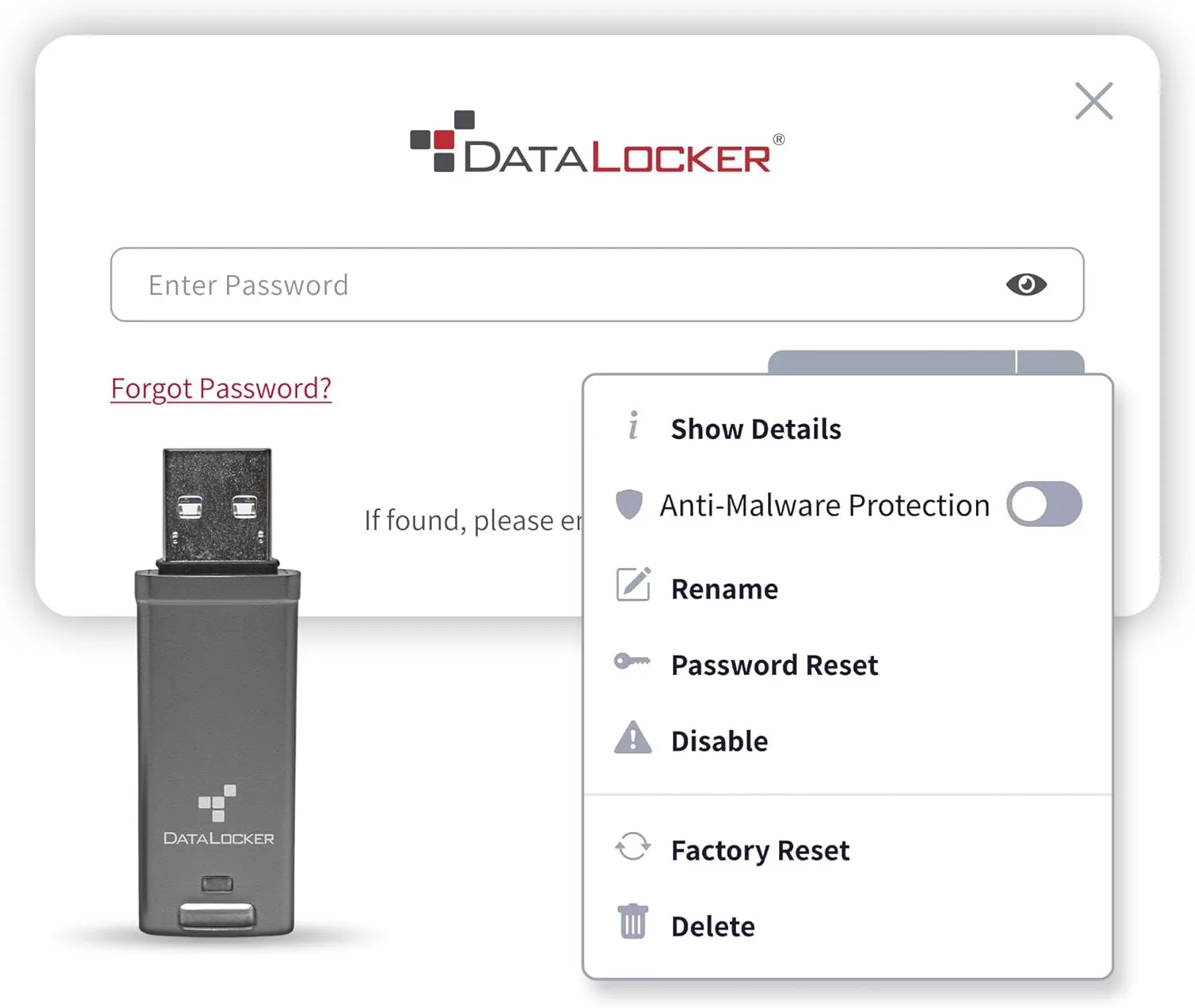 DataLocker DL GO Encrypted USB Flash Drive