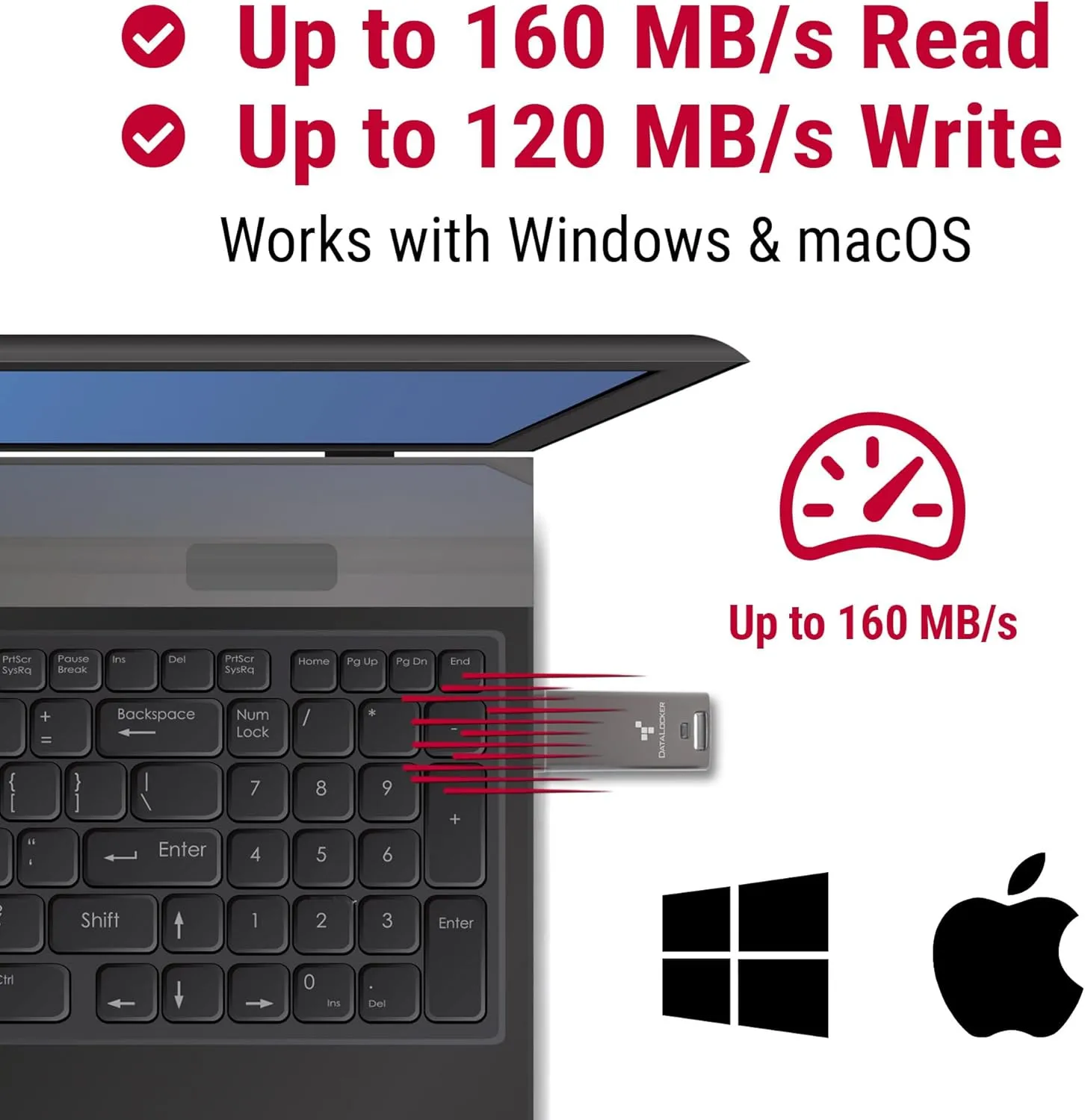DataLocker DL GO Encrypted USB Flash Drive