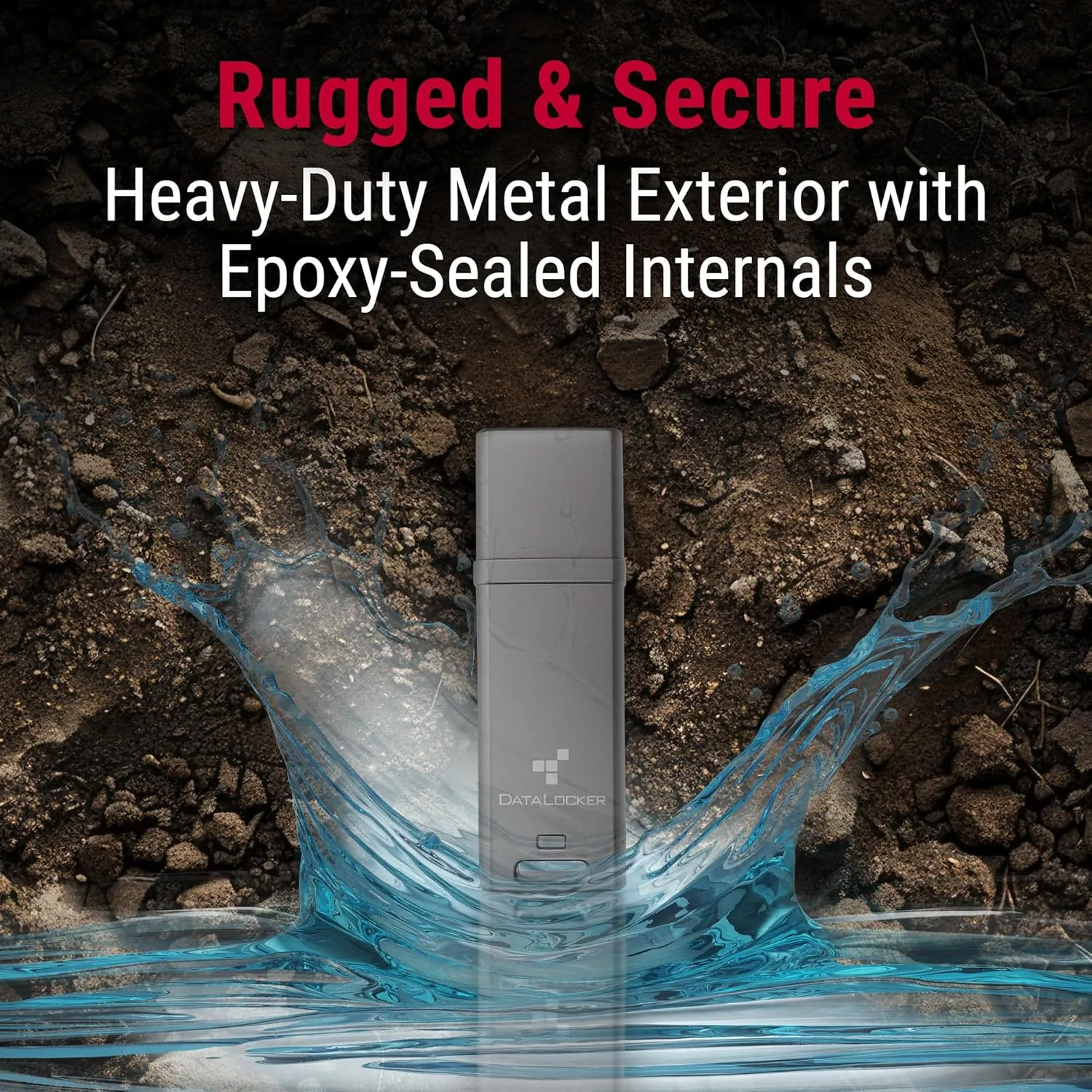 DataLocker DL GO Encrypted USB Flash Drive