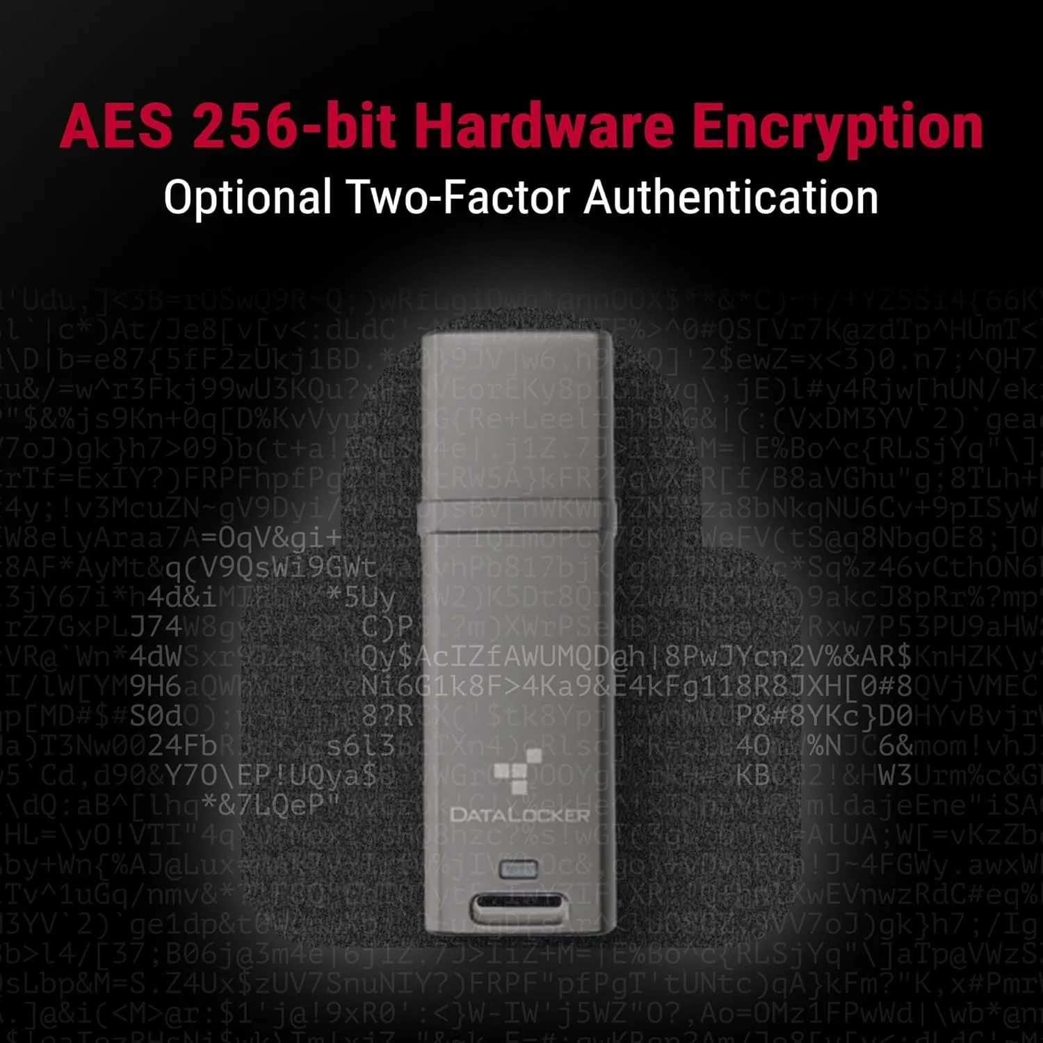 DataLocker DL GO Encrypted USB Flash Drive