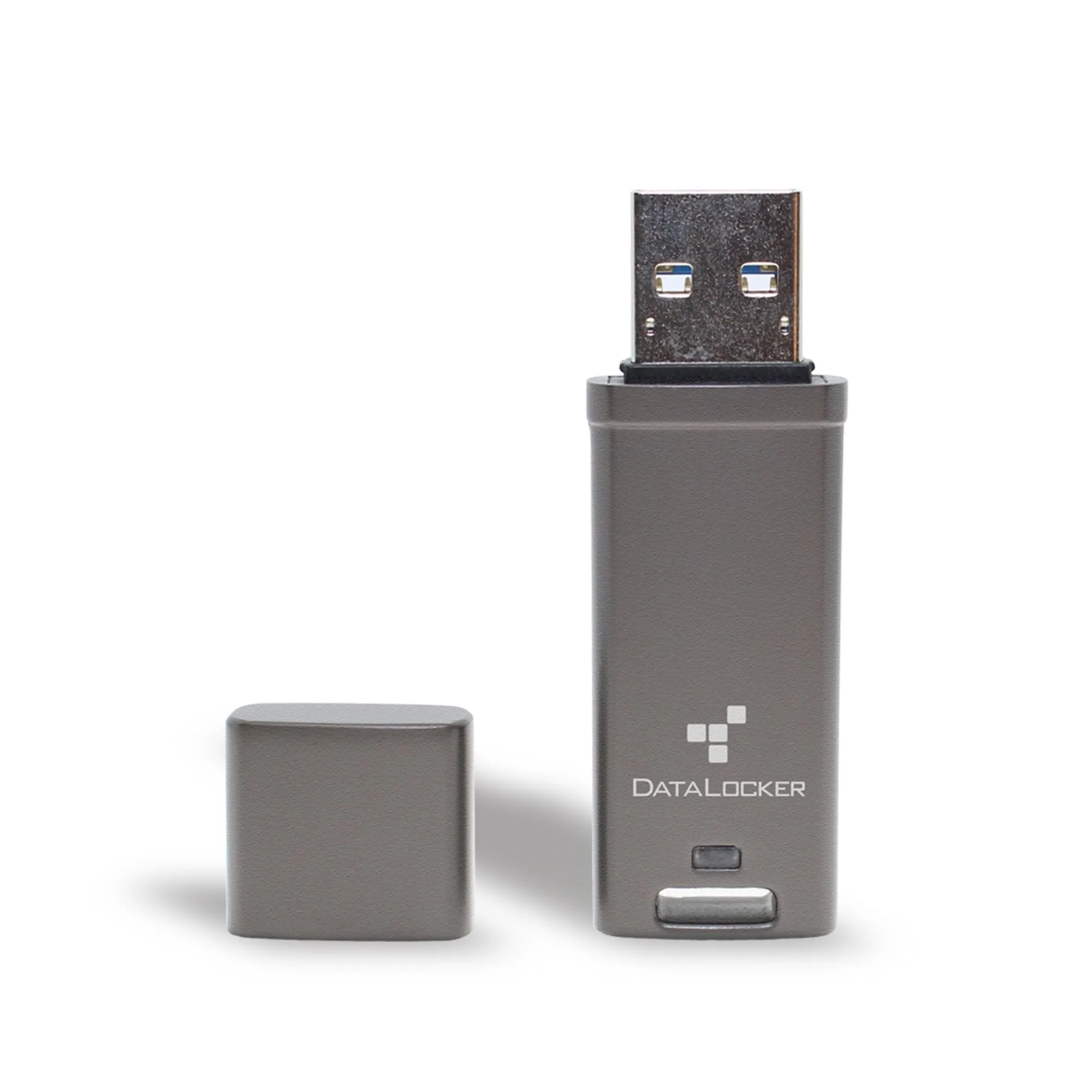 DataLocker DL GO Encrypted USB Flash Drive