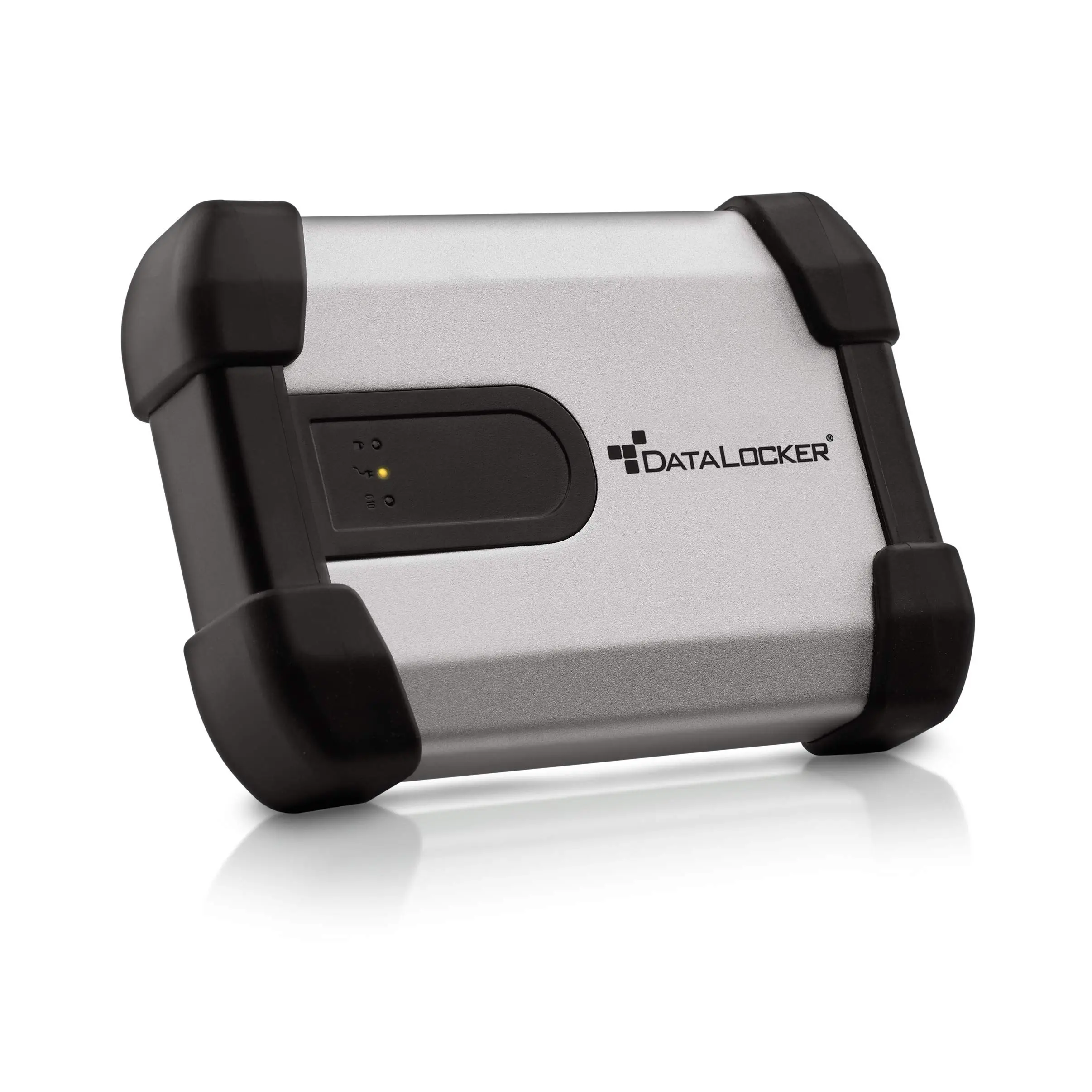 DataLocker H350 Portable Encrypted External Hard Drive