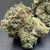 Dirty Banana F1 Indoor Hidropónica
