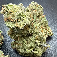 Dirty Banana F2 Indoor Hidropónica