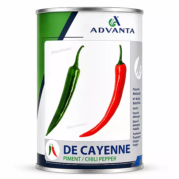 Hot Pepper Cayenne by Advanta