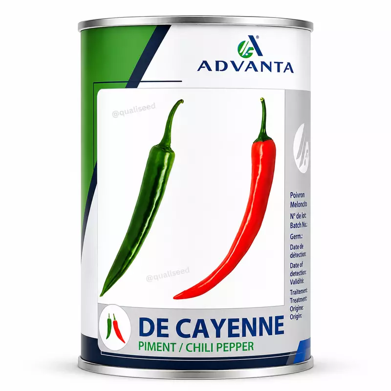 Hot Pepper Cayenne by Advanta