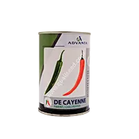 HOT PEPPER CAYENNE_ADVT