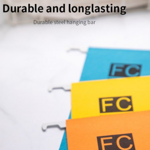 DELI E5469 FC SUSPENSION FILE