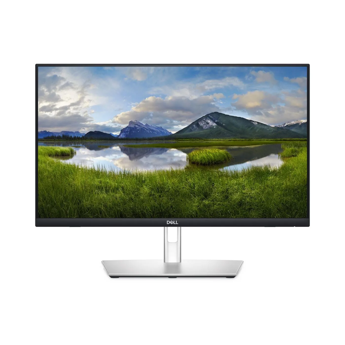 Dell P2424HT 23.8 in LED Touchscreen Monitor - 24 in Class