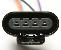 Delphi FG0407 Fuel Pump Module Assembly