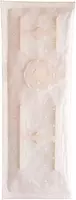 Delphi FS0127 Fuel Pump Strainer